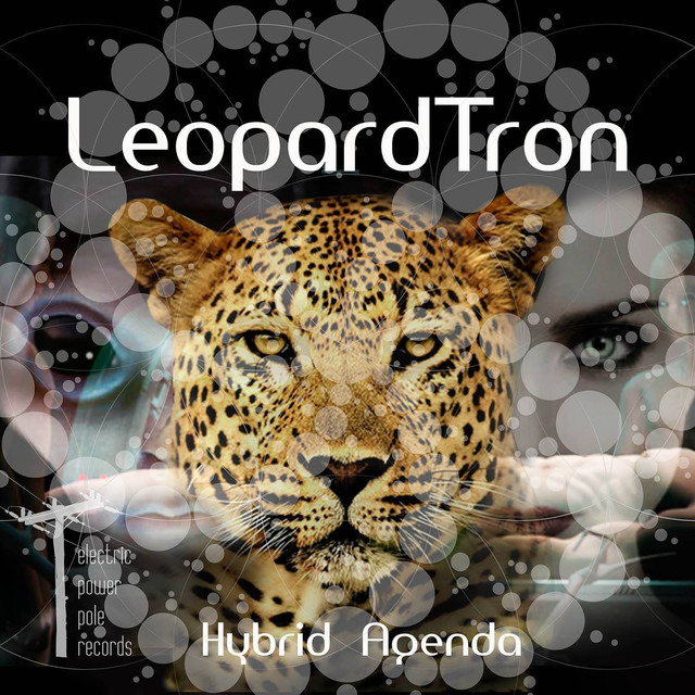 Leopardtron Photo
