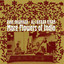 More Flowers From India cover