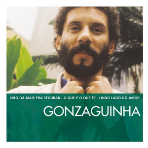 The Essential Gonzaguinha album