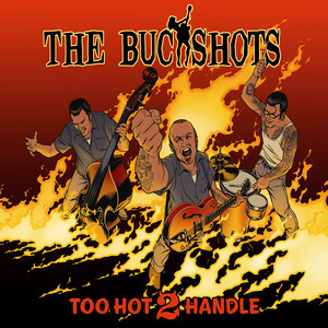 Too Hot 2 Handle Albumcover