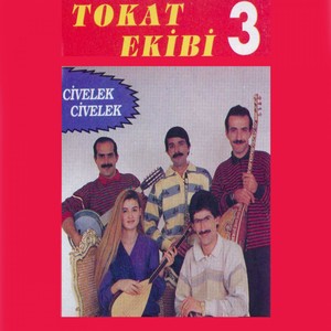 Tokat Ekibi, Vol. 3 (Civelek Civelek) Albumcover