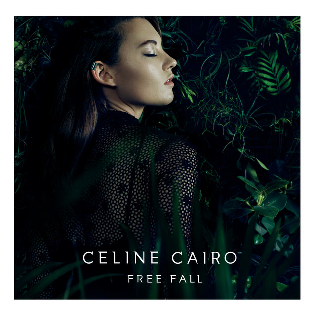 Free Fall cover
