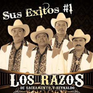Sus Exitos #1 album