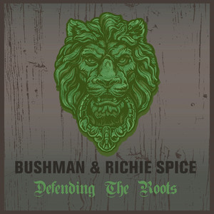 Defending The Roots album