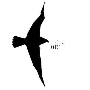 Kyte cover