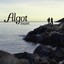 Algot