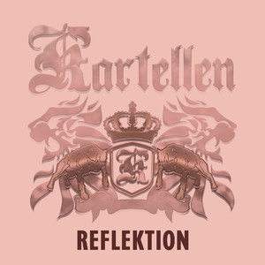 Reflektion cover