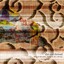 Ship in the Attic, Birds in the Subway Albumcover
