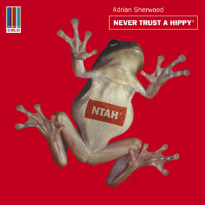 Never Trust A Hippy cover