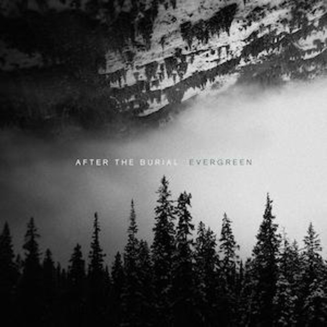 After the Burial photo