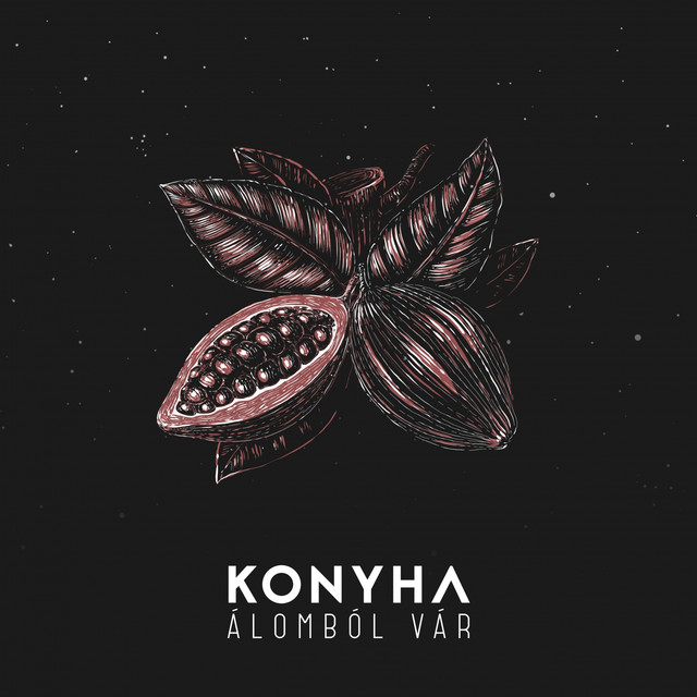 Konyha Photo