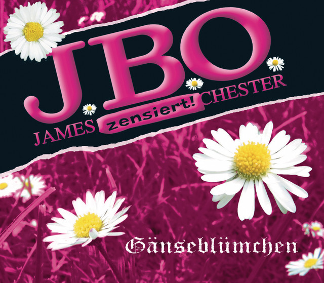 Gänseblümchen cover