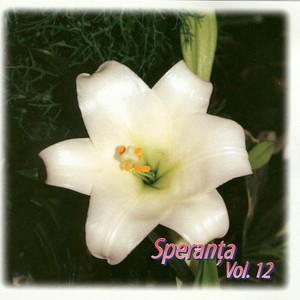 Speranta, Vol. 12 Albumcover