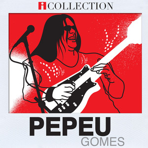 Pepeu Gomes - iCollection album