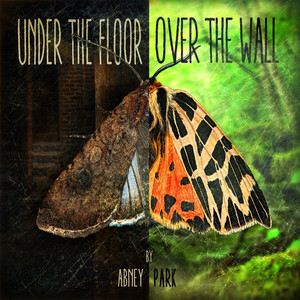 Under the Floor, Over the Wall cover