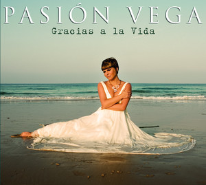 Gracias a la vida cover
