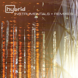 Instrumentals and Remixes album