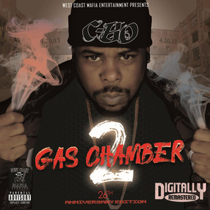 Gas Chamber cover