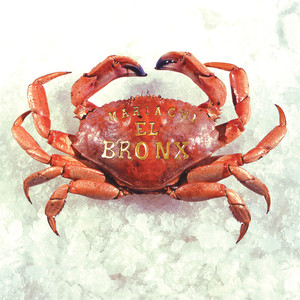 Mariachi El Bronx album