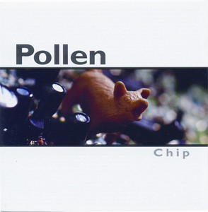 Chip cover