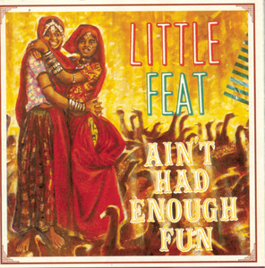 Ain't Had Enough Fun album