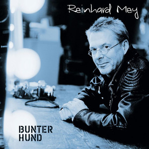 Bunter Hund album