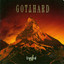 DeFrosted cover