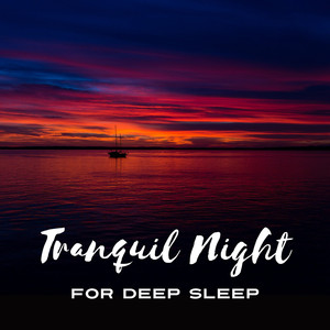 Tranquil Night for Deep Sleep: 50 Magical Melodies for Nap Time, Gentle Piano & Guitar, Natural Sleep Aid, Rest & Relaxation After Long Day album