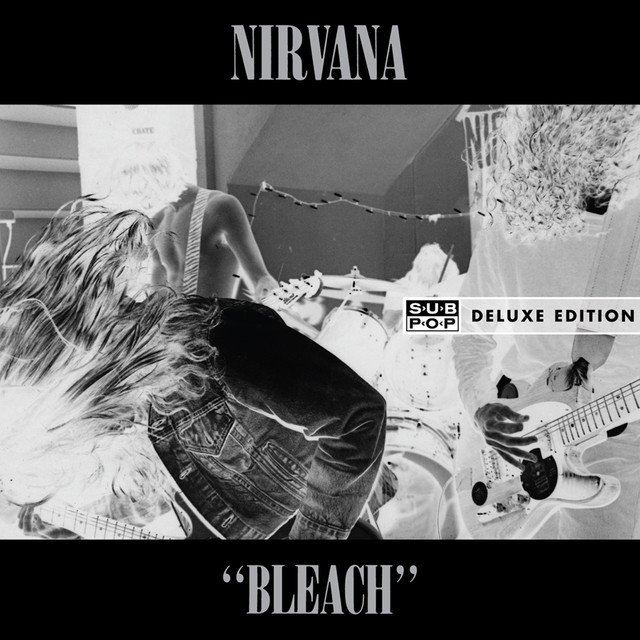 Bleach: Deluxe Edition cover
