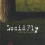 Lucid Fly