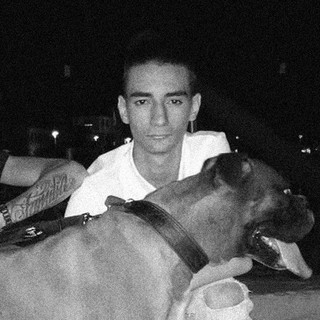 Don Diego Photo