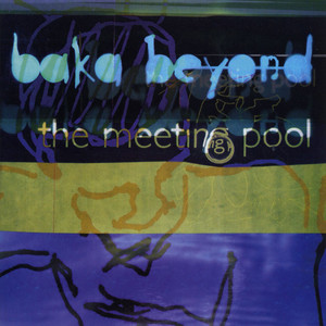 The Meeting Pool cover