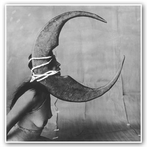Moonlover cover