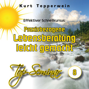 Effektiver Schnellkursus: Praxisbezogene Lebensberatung leicht gemacht (Top-Seminar Teil 8)