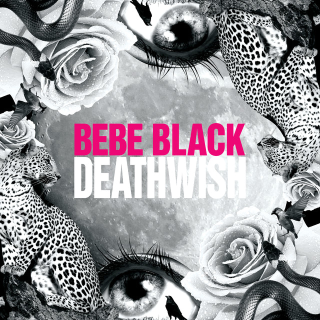 Bebe Black Photo