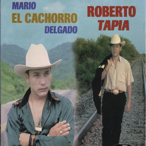 Simplemente Voz a Voz cover