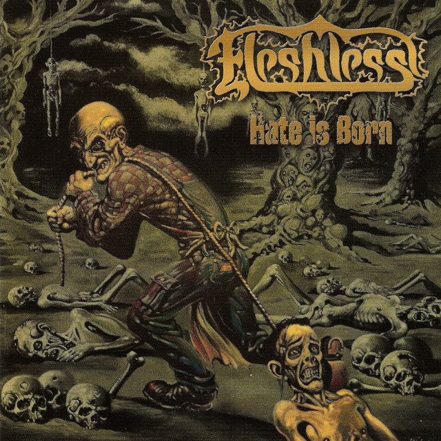 Hate Is Born cover