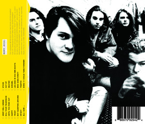 Some Furtive Years A Ned's Anthology cover