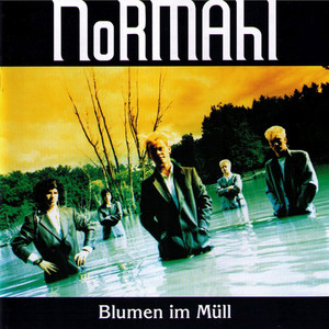 Blumen im Müll cover