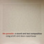 The Parasite: A Sound and Text Composition cover