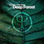 Essence Of The Forest By Deep Forest cover