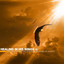 Healing In His Wings Albumcover