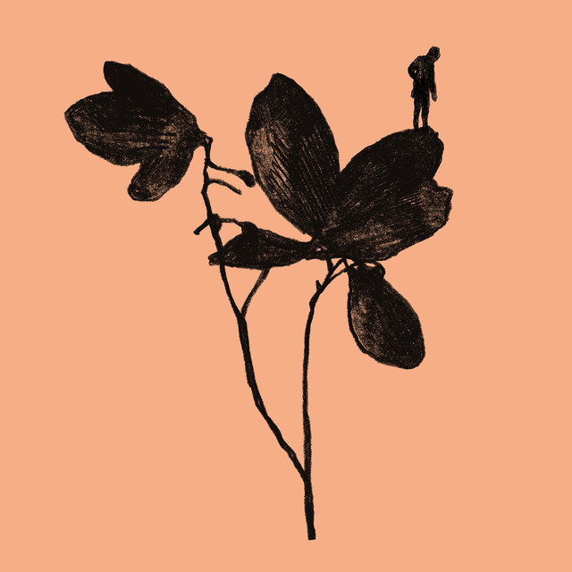 The Resolution cover