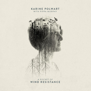 A Pocket of Wind Resistance album
