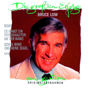 Die großen Erfolge von gestern cover