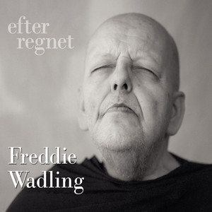 Efter regnet album