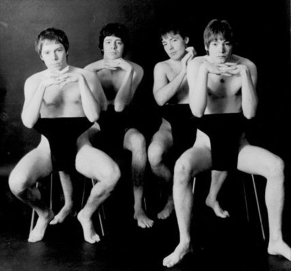 The Aardvarks