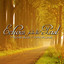 Echoes from the Past: The Guitar Music of John Williams cover