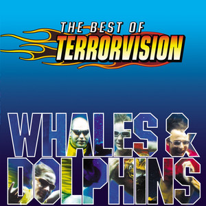 Whales and Dolphins cover