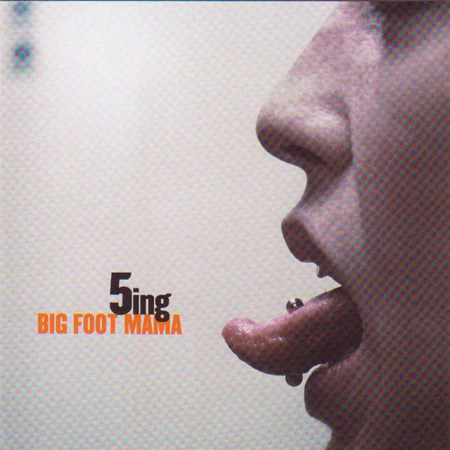 5ing cover